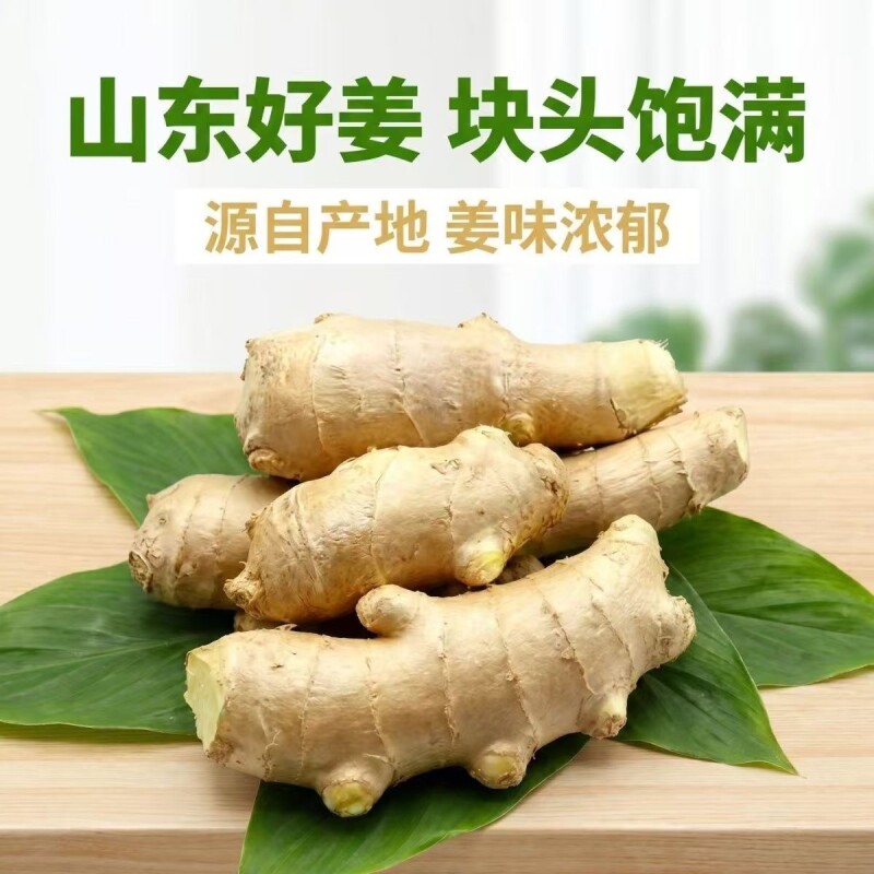 山东大姜生姜新鲜老姜月子姜风干水洗姜红糖姜汁农家自种旗舰店
