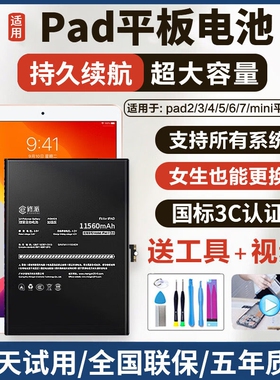 E修派8电池A2270适用苹果ipad2017 A2428 2020平板A2429 A2430 A1822更换A1823换A1893 2018电脑A1954代