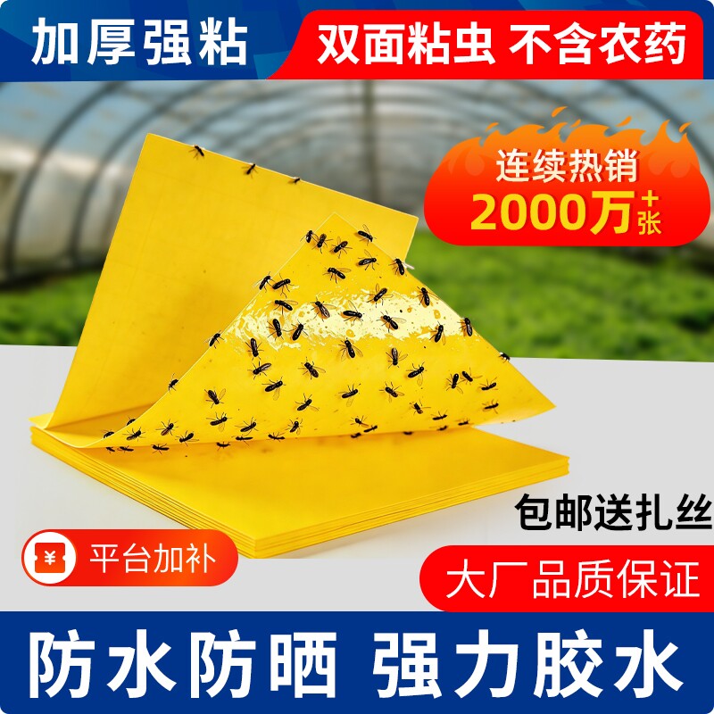 黄板双面粘虫板大棚菜园小飞虫果蝇诱捕器粘苍蝇贴果园庭院粘蝇纸