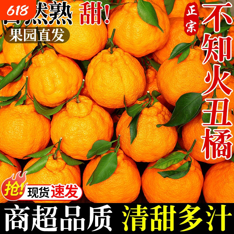 四川不知火丑橘水果新鲜整箱大果时令当季斤桔子耙耙粑粑丑柑橘子