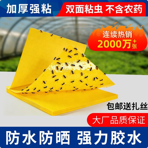 黄板双面粘虫板大棚菜园小飞虫果蝇诱捕器粘苍蝇贴果园庭院粘蝇纸