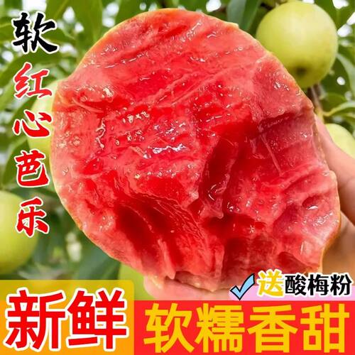 红心芭乐5斤水果软心番石榴奶油潘新鲜当季巴乐果整箱好吃的热带
