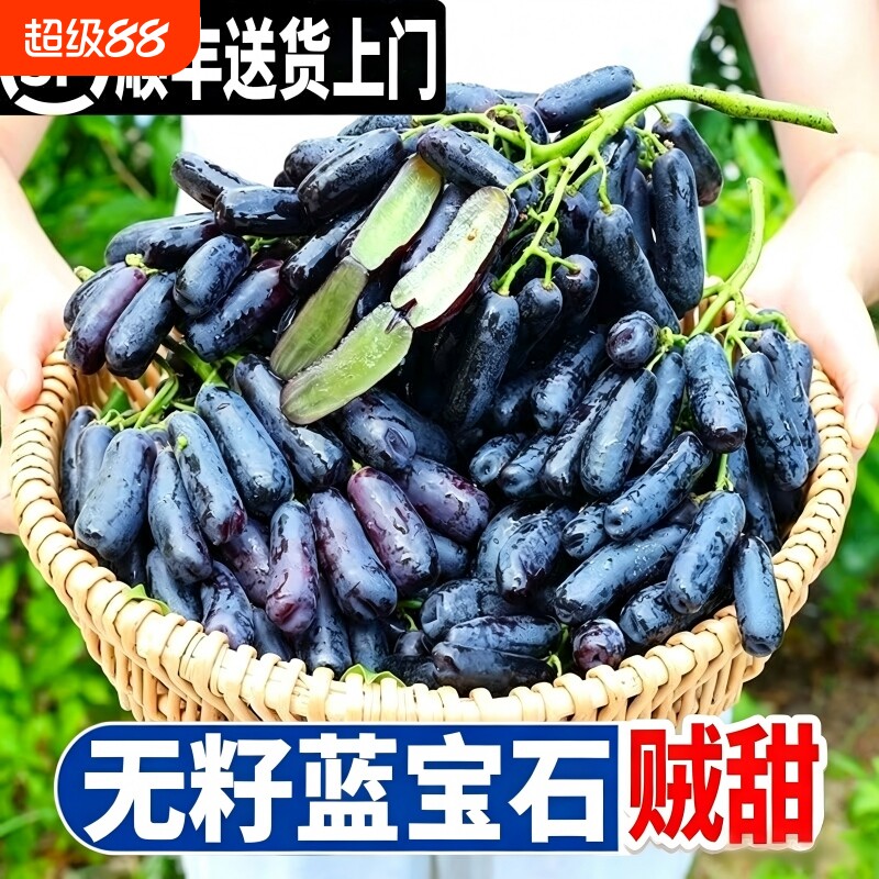 蓝宝石葡萄金手指新鲜当季现摘无籽黑提孕妇可食水果顺丰包邮提子