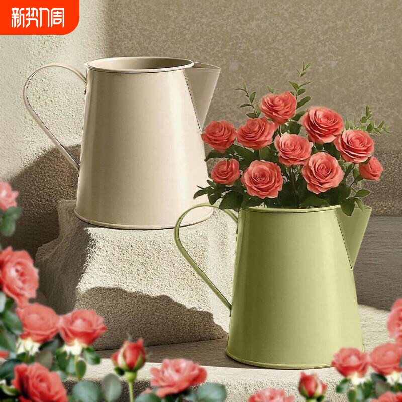 浇水壶浇花家用多肉大容量洒水壶植物园艺花卉浇菜铁皮短嘴浇水壶