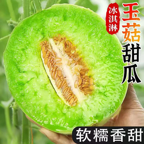 山东玉菇甜瓜新鲜瓜冰激凌奶香糯蜜瓜应季水果冰淇淋白甜瓜时令