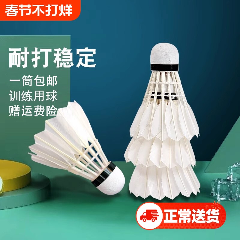 羽毛球正品耐打王室内室外训练用球6只装12只装防风稳定不易打烂