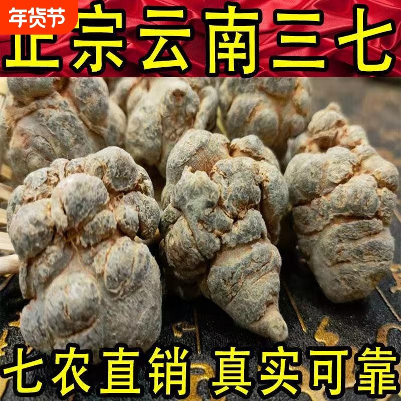 云南文山春三七20头30头40头三七头田七500g可代磨三七粉正品包邮