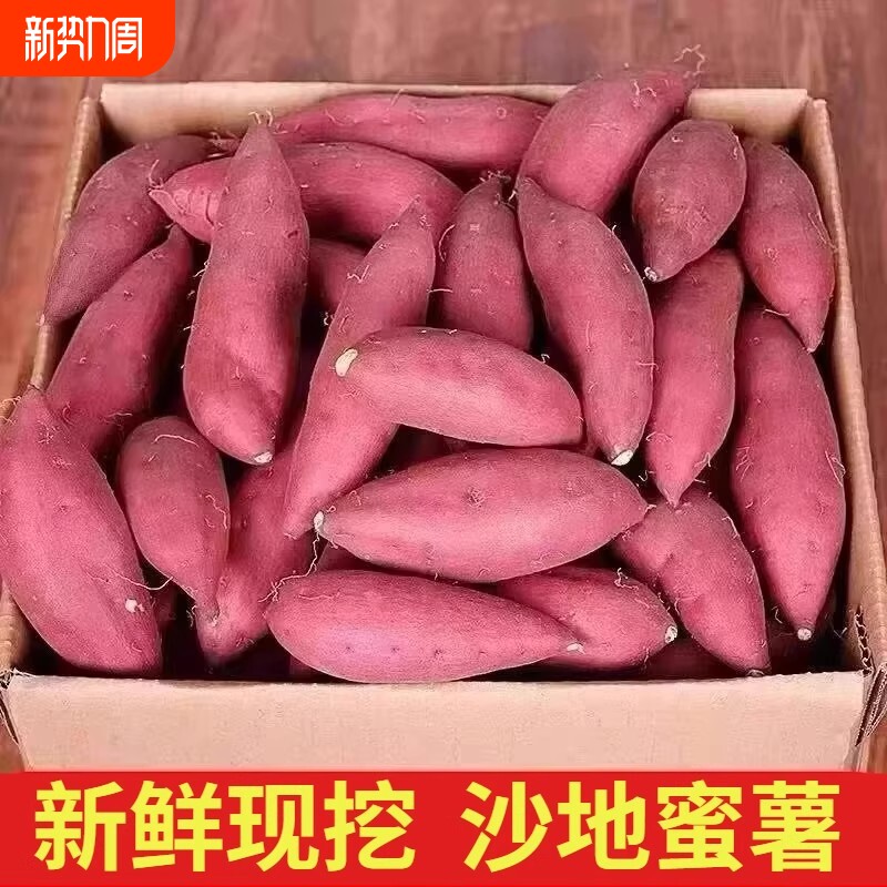 新鲜农家自种红薯沙地黄心蜜薯板栗小番烟薯糖心地瓜红心山芋番薯