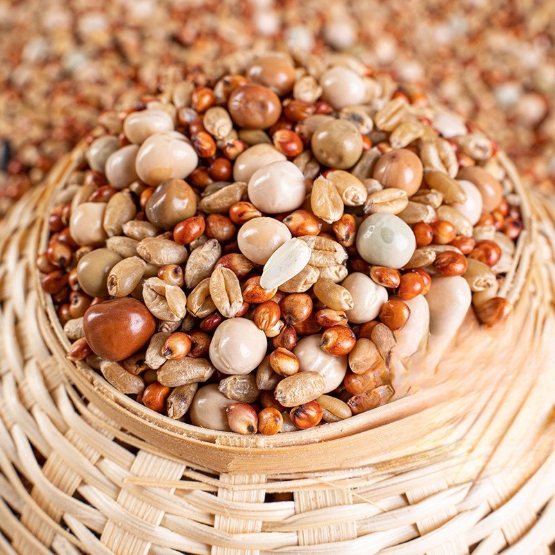 斤鸽子粮无玉米鸽粮食营养饲料鸟食观赏鸽肉鸽幼鸽成鸽粮