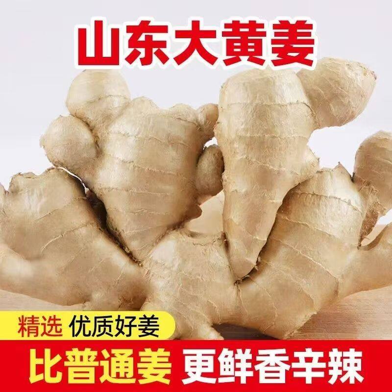 山东大姜老姜生姜新鲜黄姜土姜现挖子姜嫩姜鲜姜牙自提优质