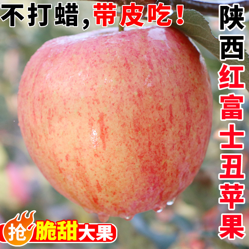 陕西红富士高山丑苹果水果新鲜脆甜当季整箱平果冰糖心孕妇应现季,水产肉类/新鲜蔬果/熟食,苹果,淘宝优惠券,粉丝福利购,淘宝优惠卷