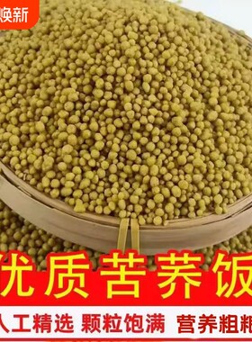 贵州威宁特产苦荞饭纯荞麦粗粮
