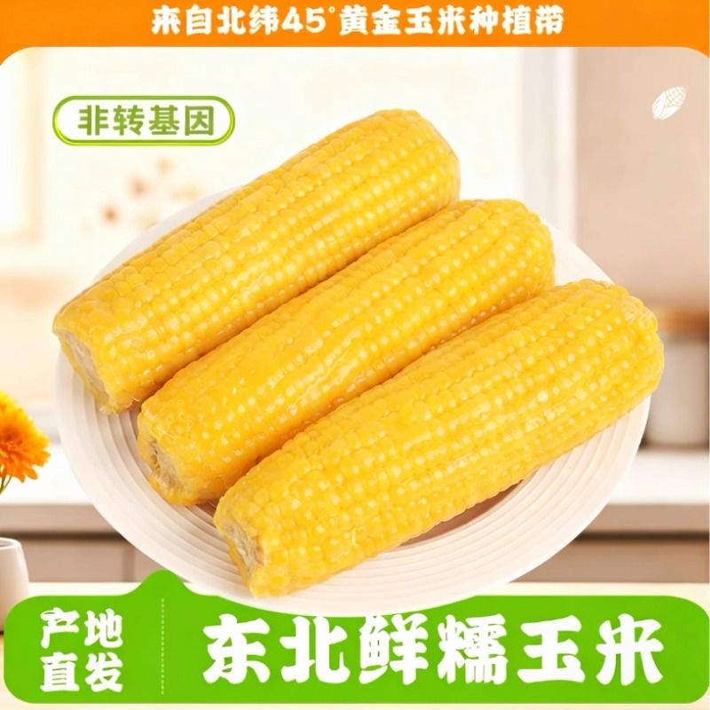 产地直发东北新鲜黄糯玉米软糯香甜低脂代餐非转基因无添加