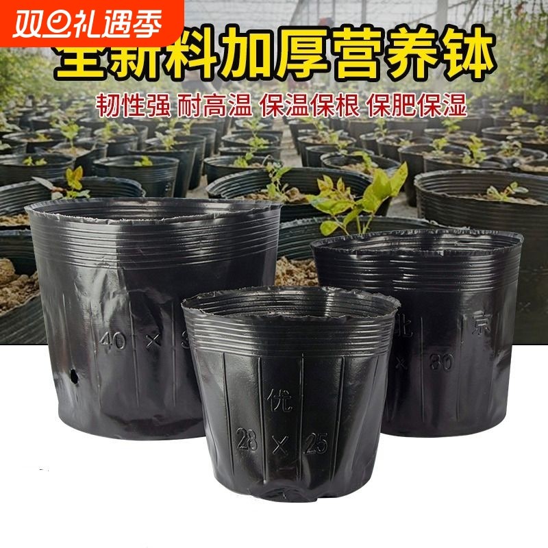 营养杯育苗袋育苗杯营养钵育苗盆塑料加厚一次性营养袋大花盆种植