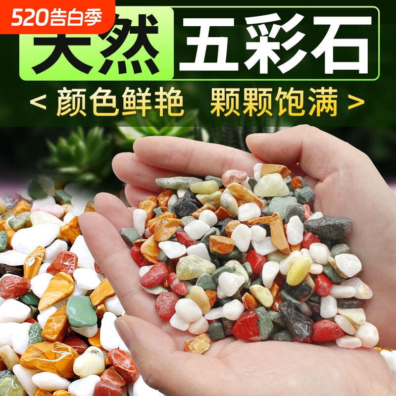 天然五彩雨花石多肉铺面水培植物铺底鱼缸底砂造景装饰石头彩石