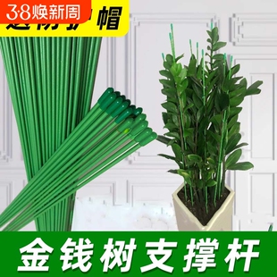 支撑杆花盆防倒伏室内瓜果花卉植物园艺花架爬藤固定捆绑杆包塑