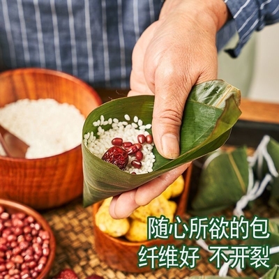 新鲜天然粽叶端午节箬叶