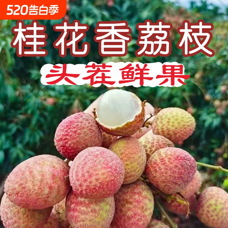 海南荔枝桂花香新鲜水果当季孕妇水果现摘整箱礼盒装大果鲜果