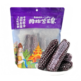 琦碹生鲜西双版纳拇指紫玉米非转基因好粗粮宝宝玉米早餐好伴侣