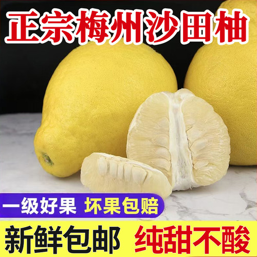 箱装精选大果正宗梅州沙田柚