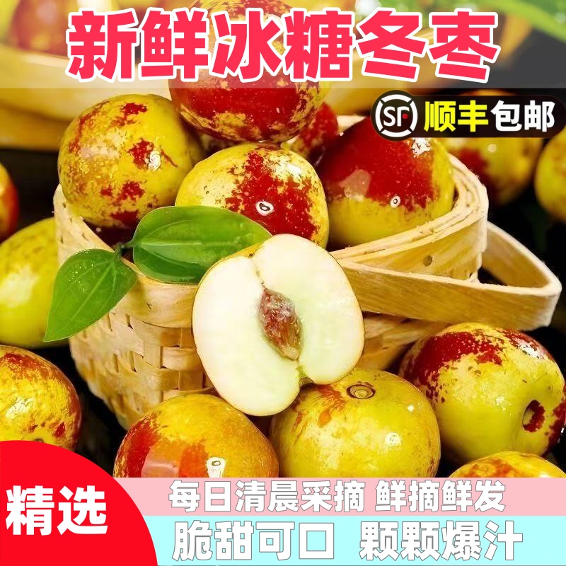 顺丰包邮正宗冬枣新鲜大果应季整箱枣子现摘脆枣冰糖大枣当季水果