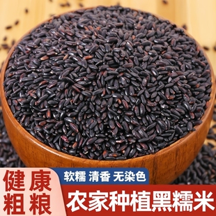 新鲜血糯米农家新米五谷杂粮黑糯米黏米包粽子饭团专用粗粮袋装