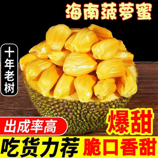 黄肉菠萝蜜三亚特产一整个新鲜水果波罗蜜海南当季大果包邮热带