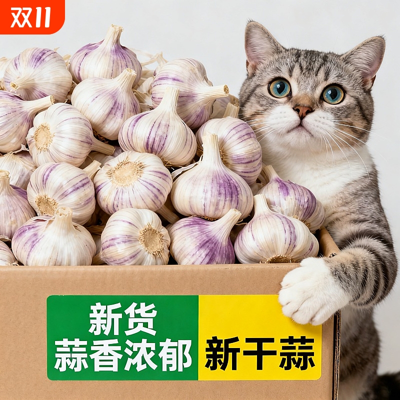 【巨实惠】金乡紫白皮大蒜批发新鲜大蒜特大蒜头干蒜大蒜正宗包邮