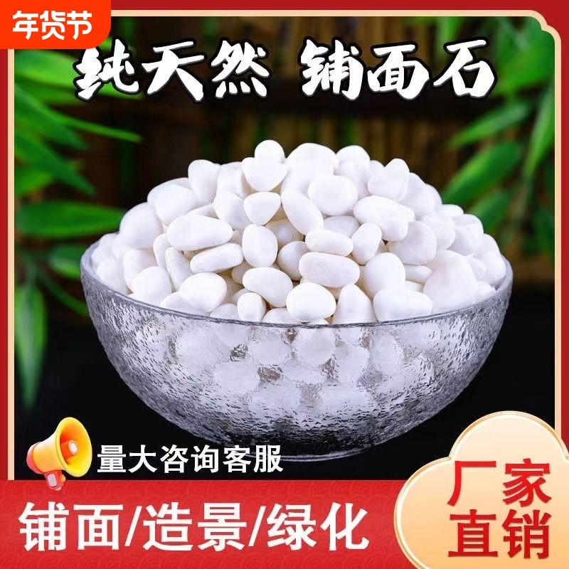 鹅卵石雨花石小白石子多肉铺面盆栽花盆庭院鱼缸造景装饰白色石头,宠物/宠物食品及用品,造景/装饰,淘宝优惠券,粉丝福利购,淘宝优惠卷