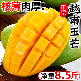 进口越南玉芒应当季生吃青芒果现摘新鲜大芒果热带水果