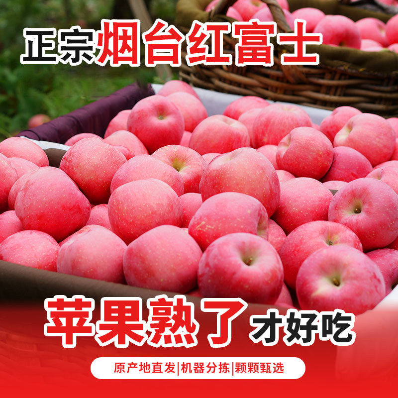 正宗烟台红富士苹果水果新鲜礼盒装当季整箱包邮冰糖心批发