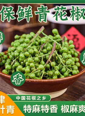 江津九叶青花椒保鲜青花椒串带杆特产麻辣川菜火锅鱼新鲜