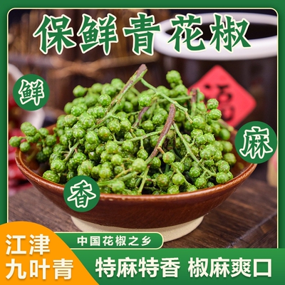江津九叶青花椒保鲜青花椒串带杆特产麻辣川菜火锅鱼新鲜