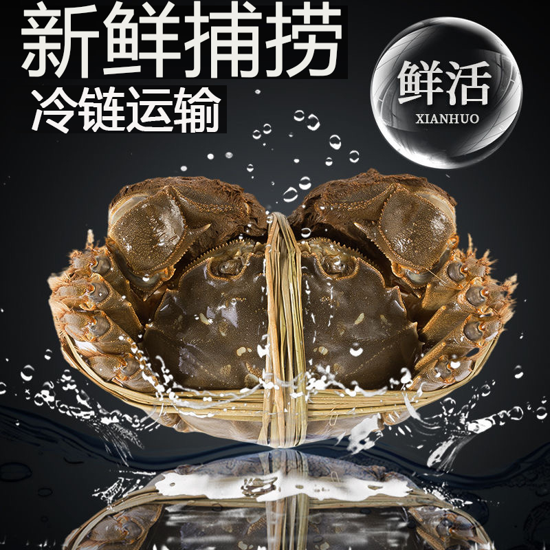 顺丰冷链鲜活军山湖大闸蟹全母螃蟹礼盒包邮