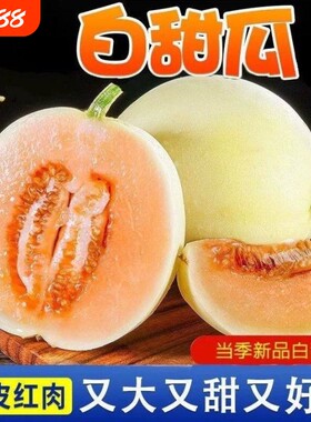 当季头茬红心阎良红肉甜瓜9斤香瓜蜜瓜新鲜水果白瓜甜瓜黄金蜜瓜5