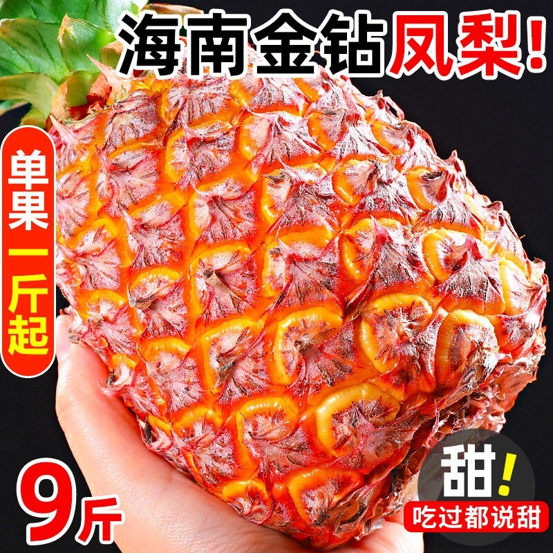 海南金钻凤梨新鲜当季现摘新鲜水果金钻手撕凤梨香水菠萝特产包邮