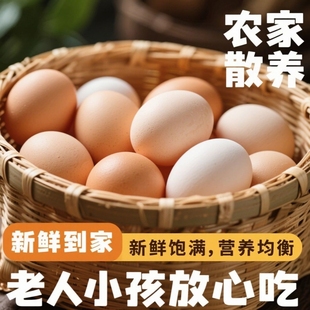 农家自养土鸡蛋源头直发新鲜直达口感香醇天然营养全家安心