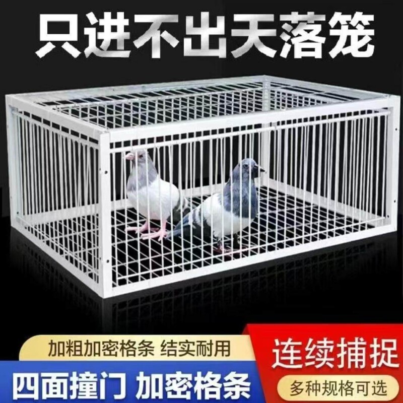 天落笼鸽子笼鸽子活络门只进不出撞门鸽笼铁笼跳笼自动门神器捕捉图片