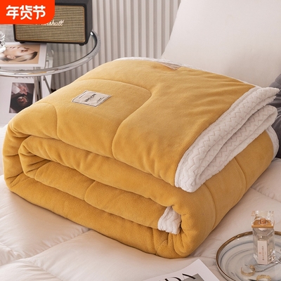 羊羔绒毛毯被子加厚保暖冬被棉被宿舍单人学生冬季被褥被芯盖毯子