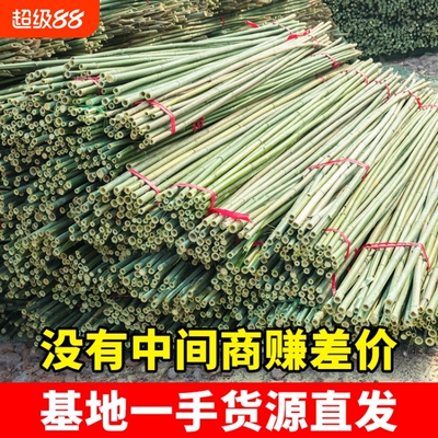 竹竿子搭架菜园豆角架黄瓜架西红柿蔬菜植物支架杆爬藤架旗杆栅栏