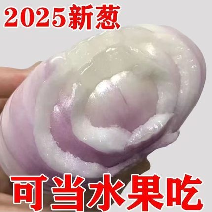 可以当水果吃的新鲜紫皮洋葱4.5斤脆嫩多汁好吃水果蔬菜可凉拌
