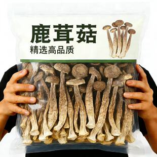 新货鹿茸菇无熏硫新鲜香菇干货福建特产鹿茸菇可批发煲汤食材商用
