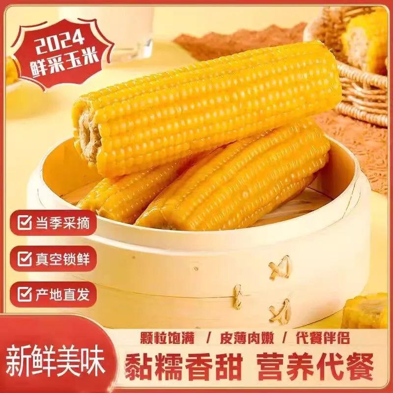 东北粘玉米黏香甜非转基因真空装营养早餐粗粮年货黄金代餐糯玉米