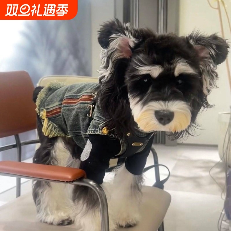 比熊泰迪宠物柴犬西雪纳瑞外套高地牛仔狗狗衣服
