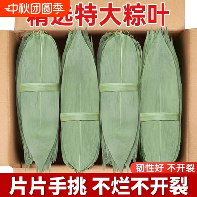 干粽叶特大号粽子叶新鲜麻竹叶商家用箬叶包粽子材料送绳子