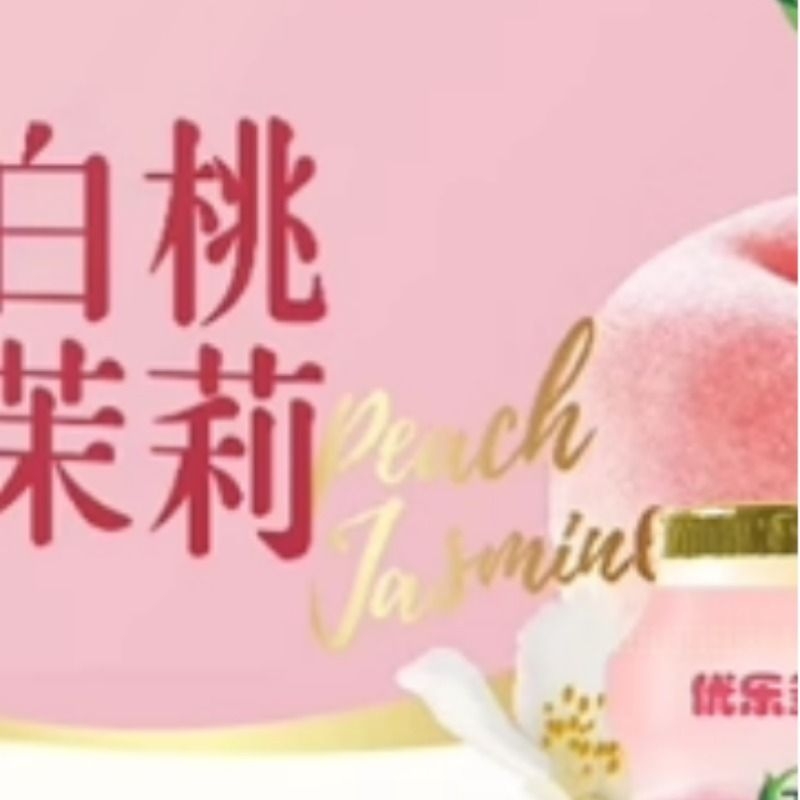 白桃茉莉益生菌乳酸菌0脂肪含乳早餐饮品料整箱100mlx20瓶