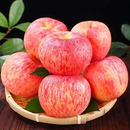 自然搭档延安苹果2025年新果头茬新鲜水果红富士苹果 多规格