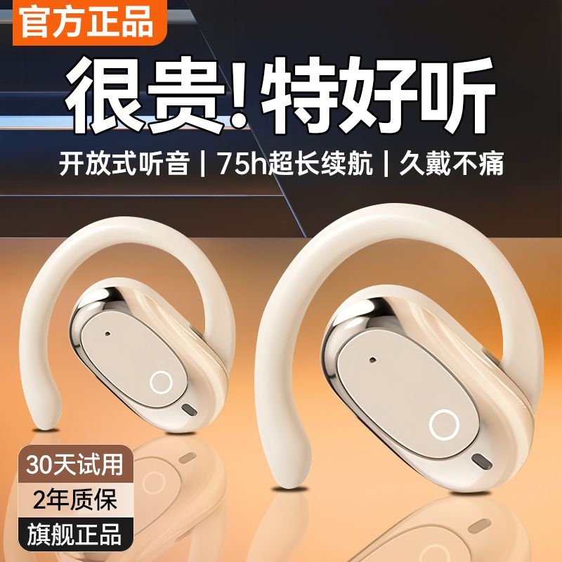 德国柏林之声蓝牙耳机入耳式2025年新款迷你超长续航适用果苹安卓