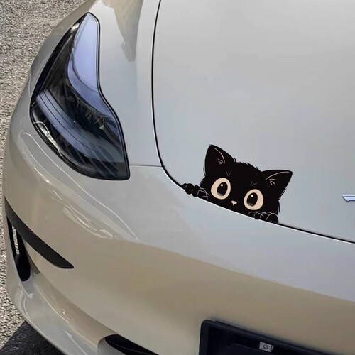 偷瞄黑猫车贴小号|超2000次加购