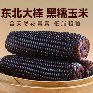 东北黑糯玉米真空包装新鲜甜糯玉米棒子开袋加热即食黑玉米